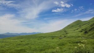 福岡の占い師で評判の口コミおすすめは？