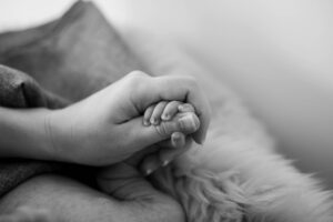 家族の悩みを占いで相談する方法は？