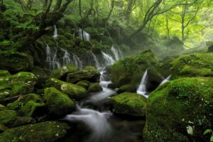 おまじないを利用した占い師の口コミはどこで見つけられる？