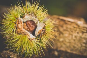 連絡頻度が減った理由を占いで解明できる？