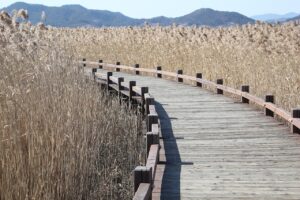 自分らしく生きる方法を宿命と理解するにはどうすればいい？