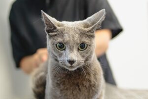 占いサロンを利用する前に確認すべき注意点は？